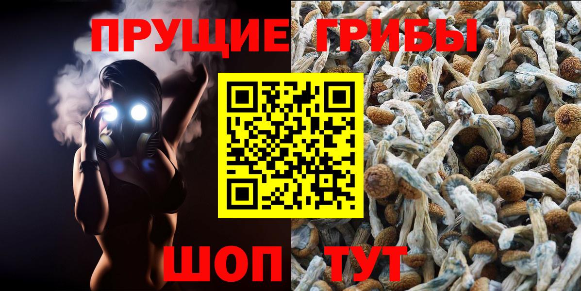 где продают   Псилоцибиновые грибы Magic Shrooms  Вход с VPN  Мурманск 